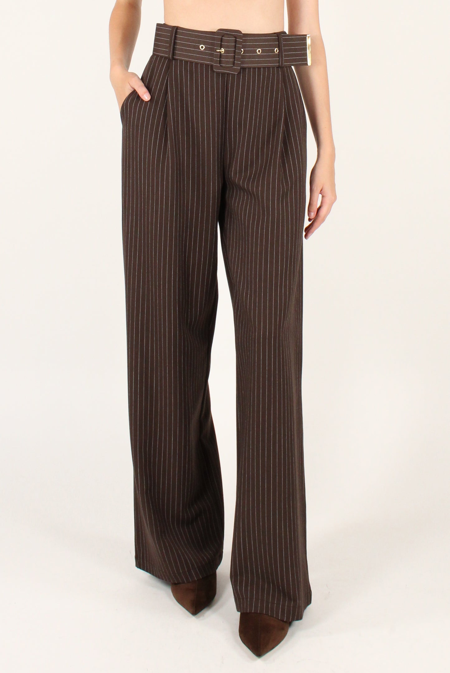 Pantaloni Gessati con Pinces