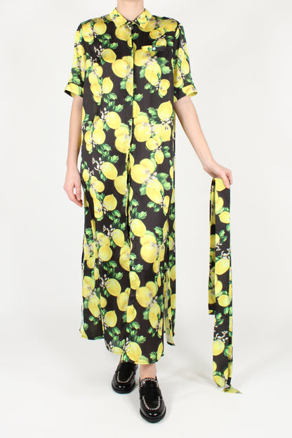 Lemon Print Chemisier Dress