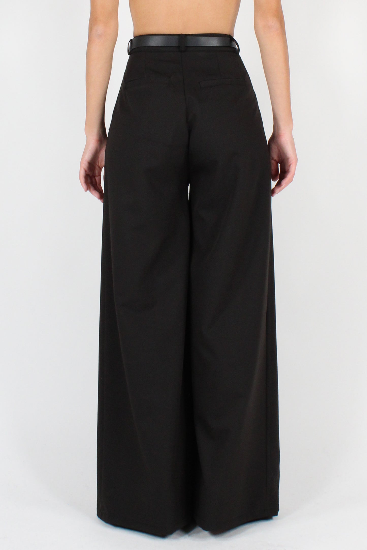 Extra Wide Leg Trousers with Pleats