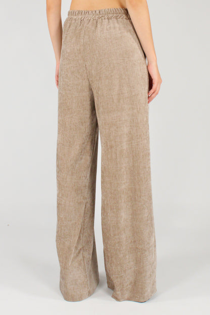 Pantaloni in Velluto con Pinces