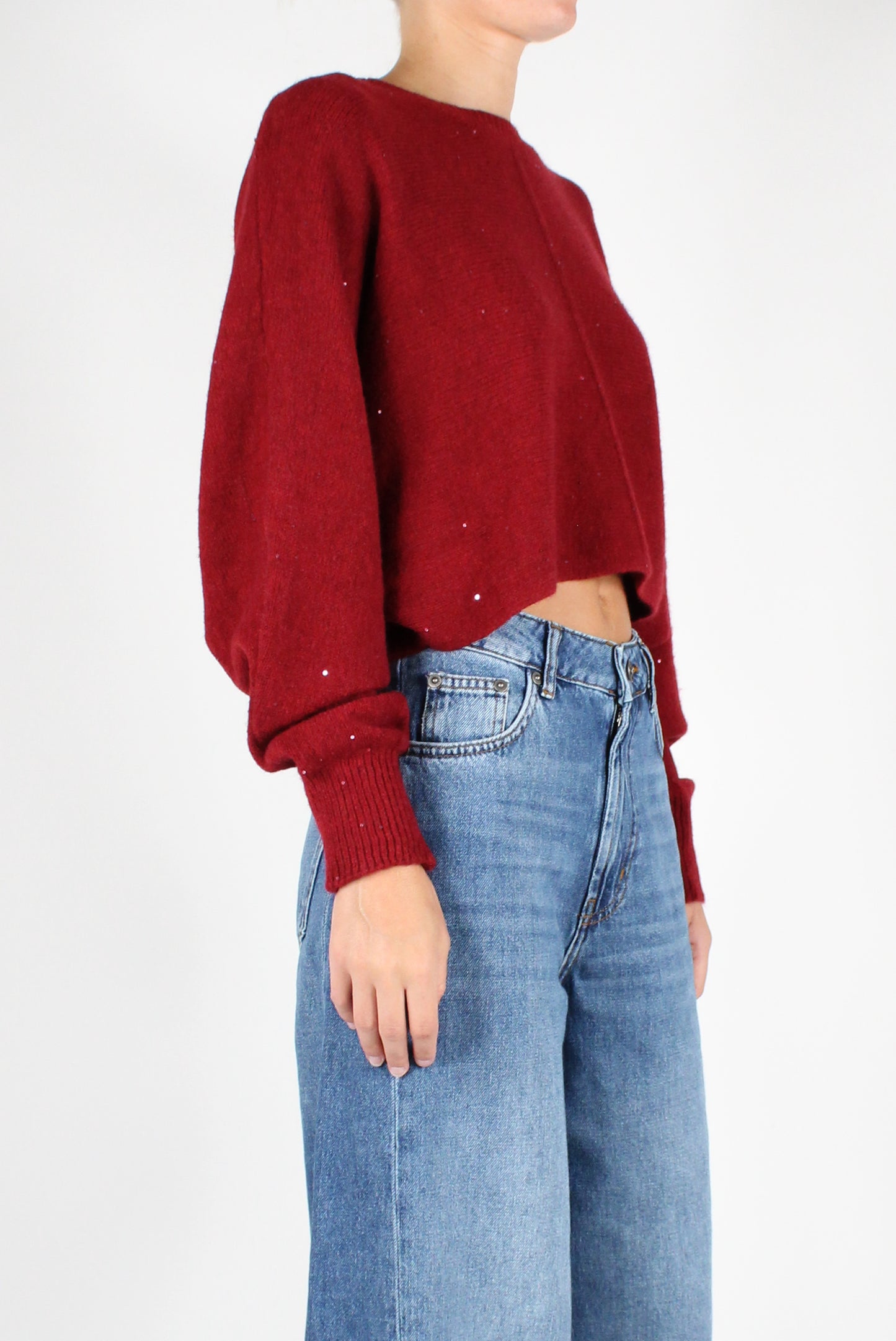 Sequin Crewneck Crop Sweater