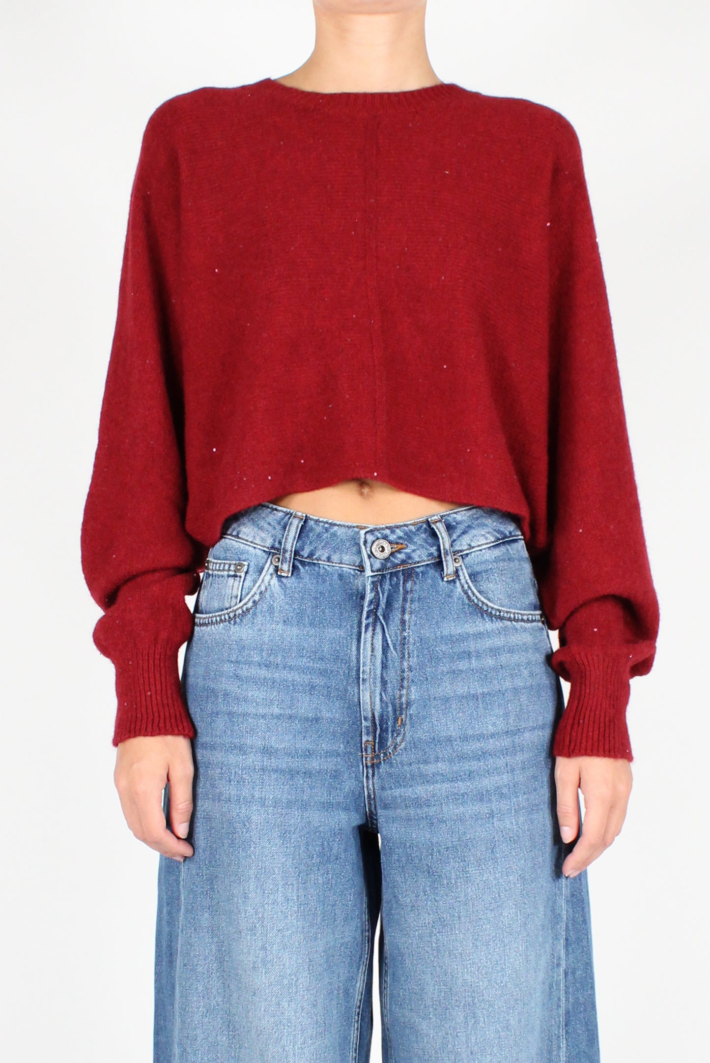 Sequin Crewneck Crop Sweater