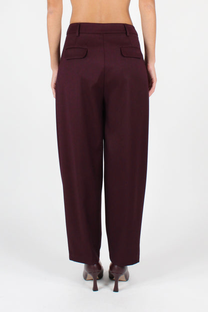 Balloon Pants with Pleats