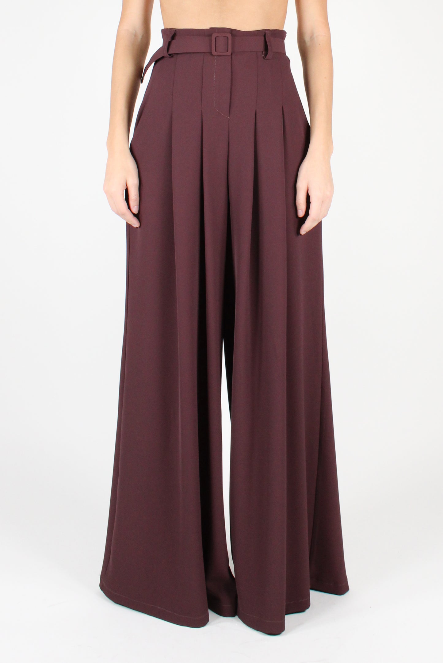 Palazzo Pants with Pleats and Belt