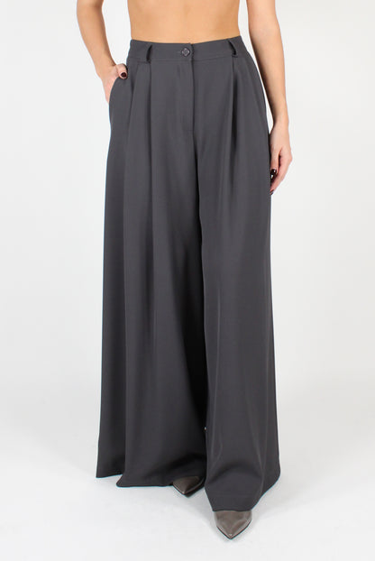 Palazzo Pants with Pleats and Elastic Waist