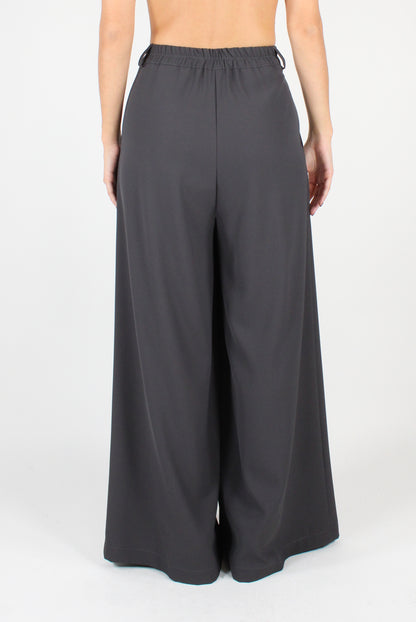 Palazzo Pants with Pleats and Elastic Waist