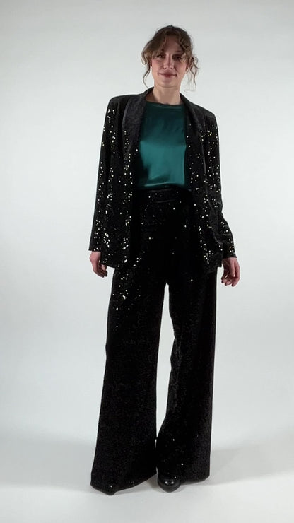 Velvet and Sequined Trousers with Pleats