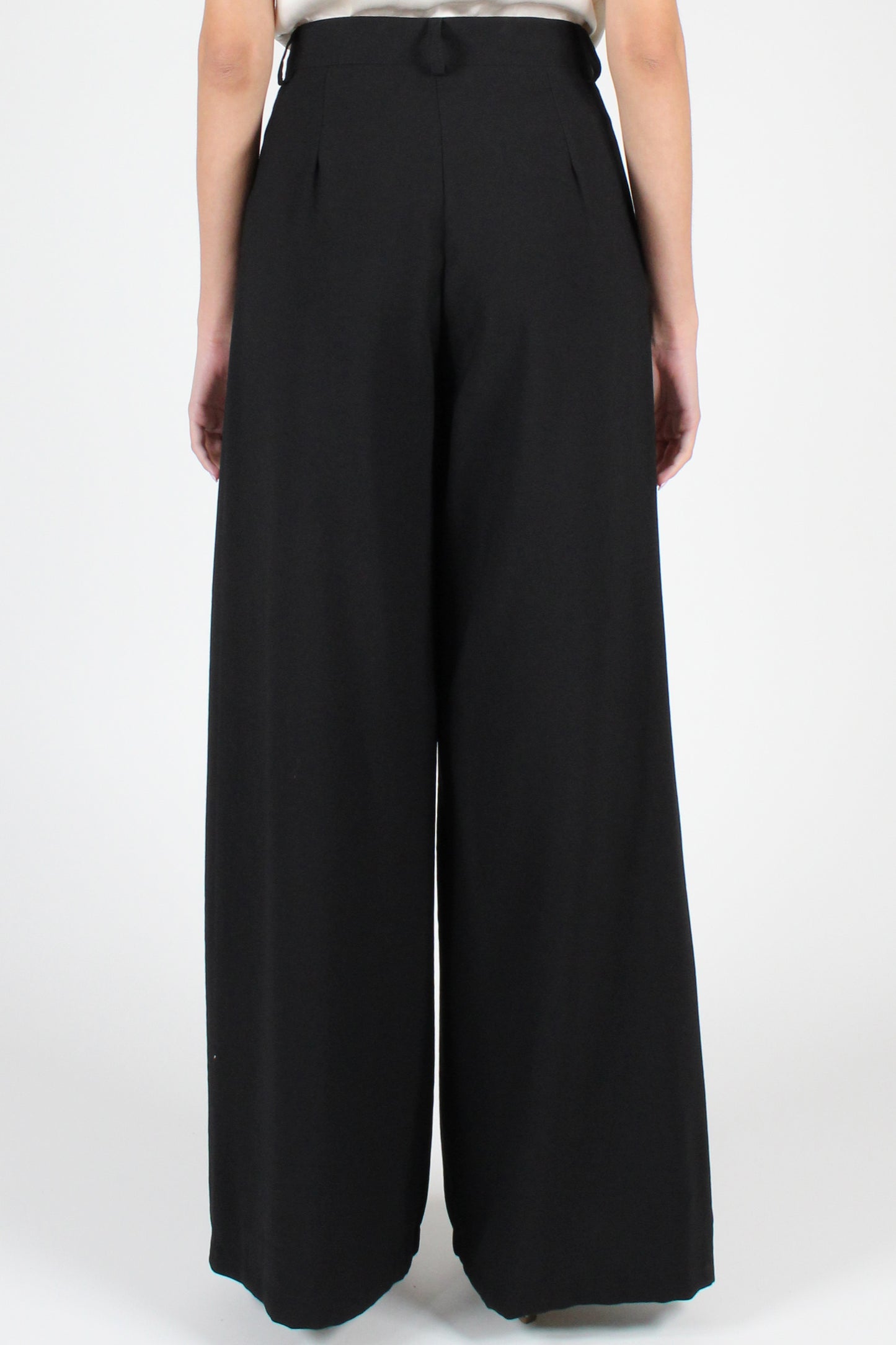 Palazzo Trousers in Solid Color Viscose